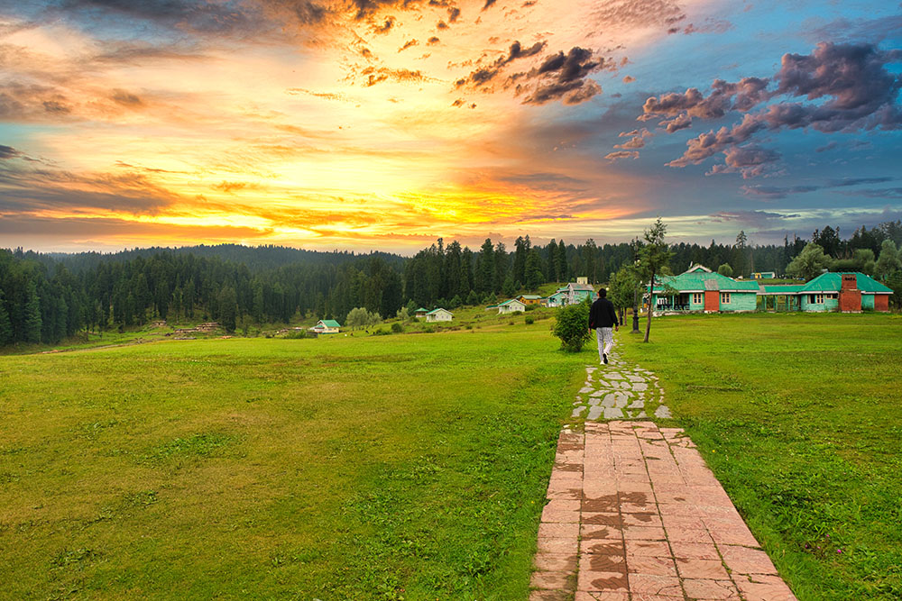 DAY 06 YUSMARG DAY TRIP & NIGHT STAY BACK IN SRINAGAR 