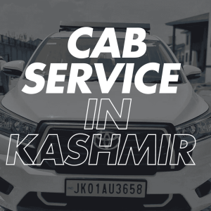 kashmir cab service , online cab in srinagar kashmir - taxi service in kashmir (2)